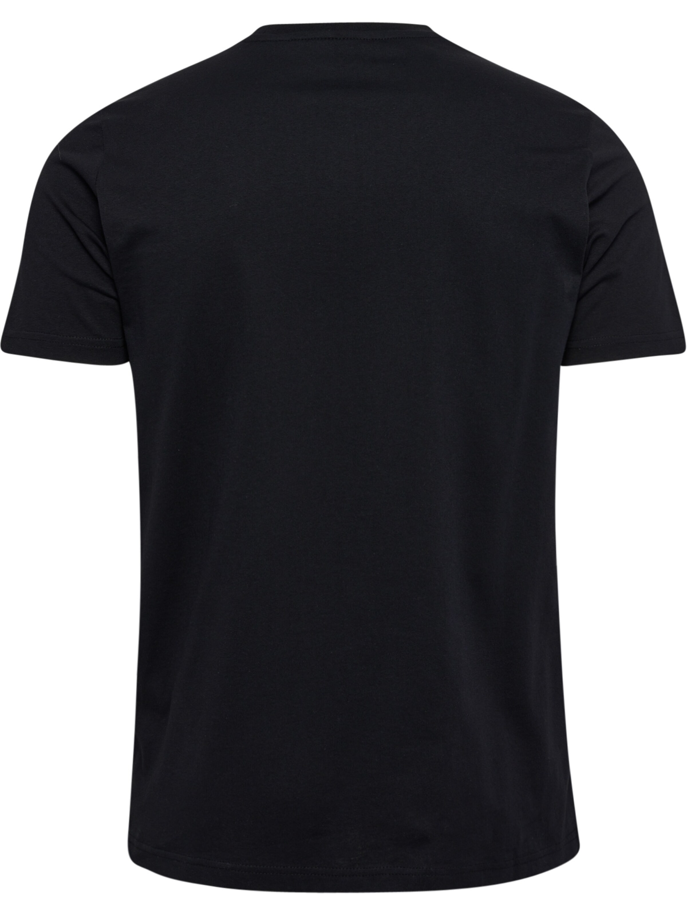 Hummel Performance shirt 'RAINBOW' in Black
