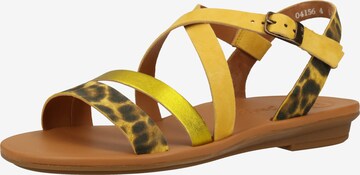 Paul Green Sandalen met riem in Geel: voorkant