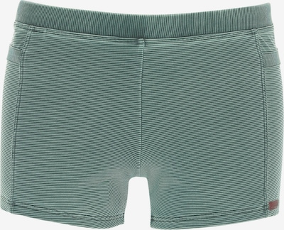 wavebreaker Kupaće gaće u pastelno zelena, Pregled proizvoda