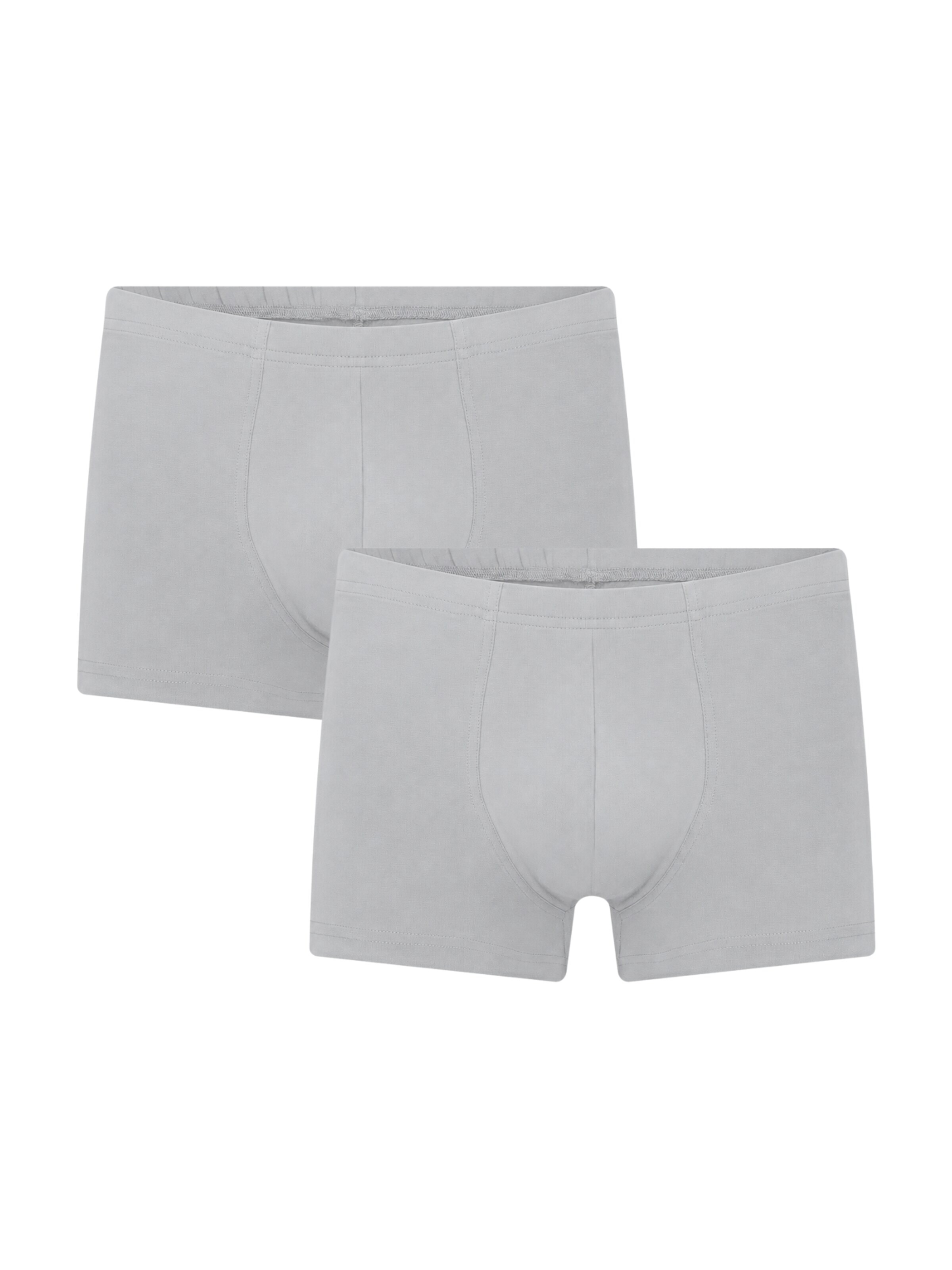 Albero Natur Boxer shorts 'Bio-Baumwoll-Herren Retroshorts -2er Pack' in Grey: front