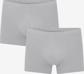 Albero Natur Boxer shorts 'Bio-Baumwoll-Herren Retroshorts -2er Pack' in Grey: front