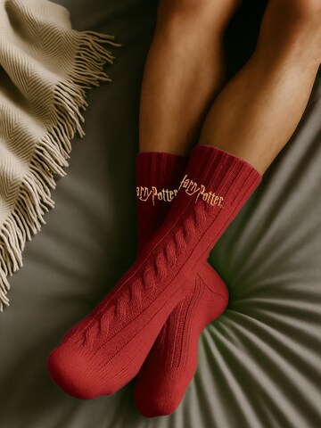 Harry Potter Socken 'Hüttensocken'‌‌‌‌‌‌ in Rot