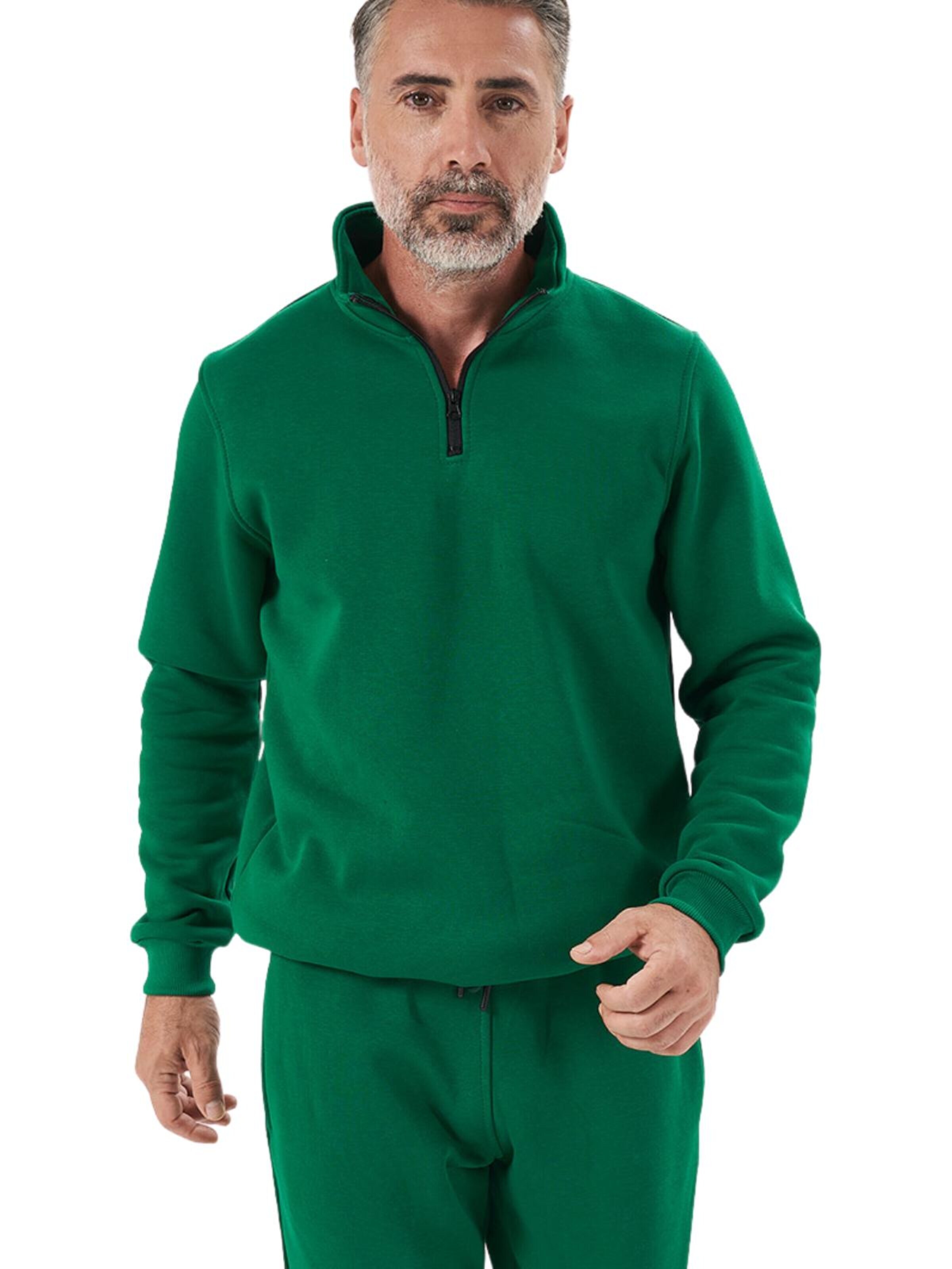LOUIS LECLER Sweatshirt 'Remy' in Groen