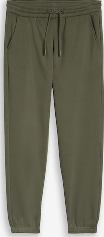 TOM TAILOR DENIM Hose in Grün: Vorderseite