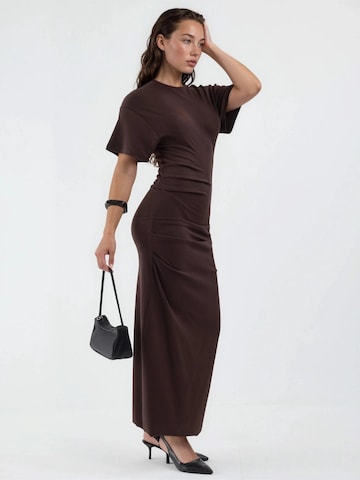 Busem Dress in Brown