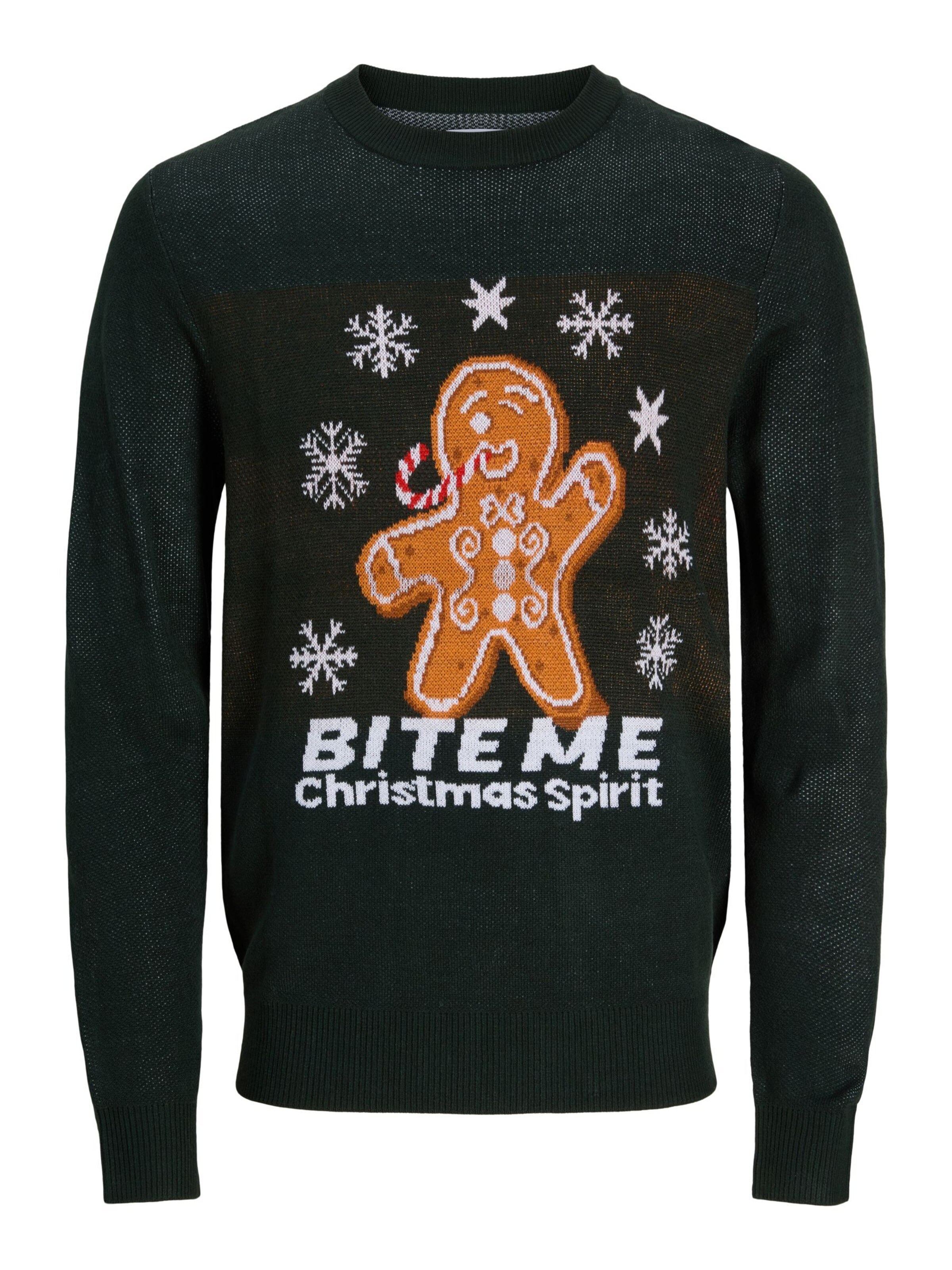 JACK & JONES Trui 'JJXmas Santa' in Groen: voorkant