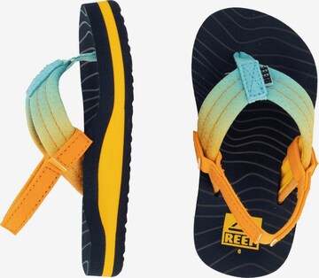 REEF Beach & Pool Shoes 'Little Ahi' in Mixed colors