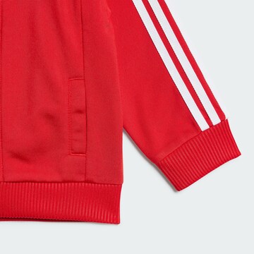 ADIDAS ORIGINALS Облекло за бягане 'Adicolor' в червено