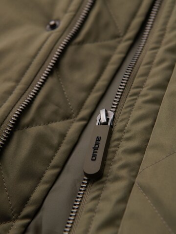 Ombre Winterjas 'OM-JAPJ-0313' in Groen