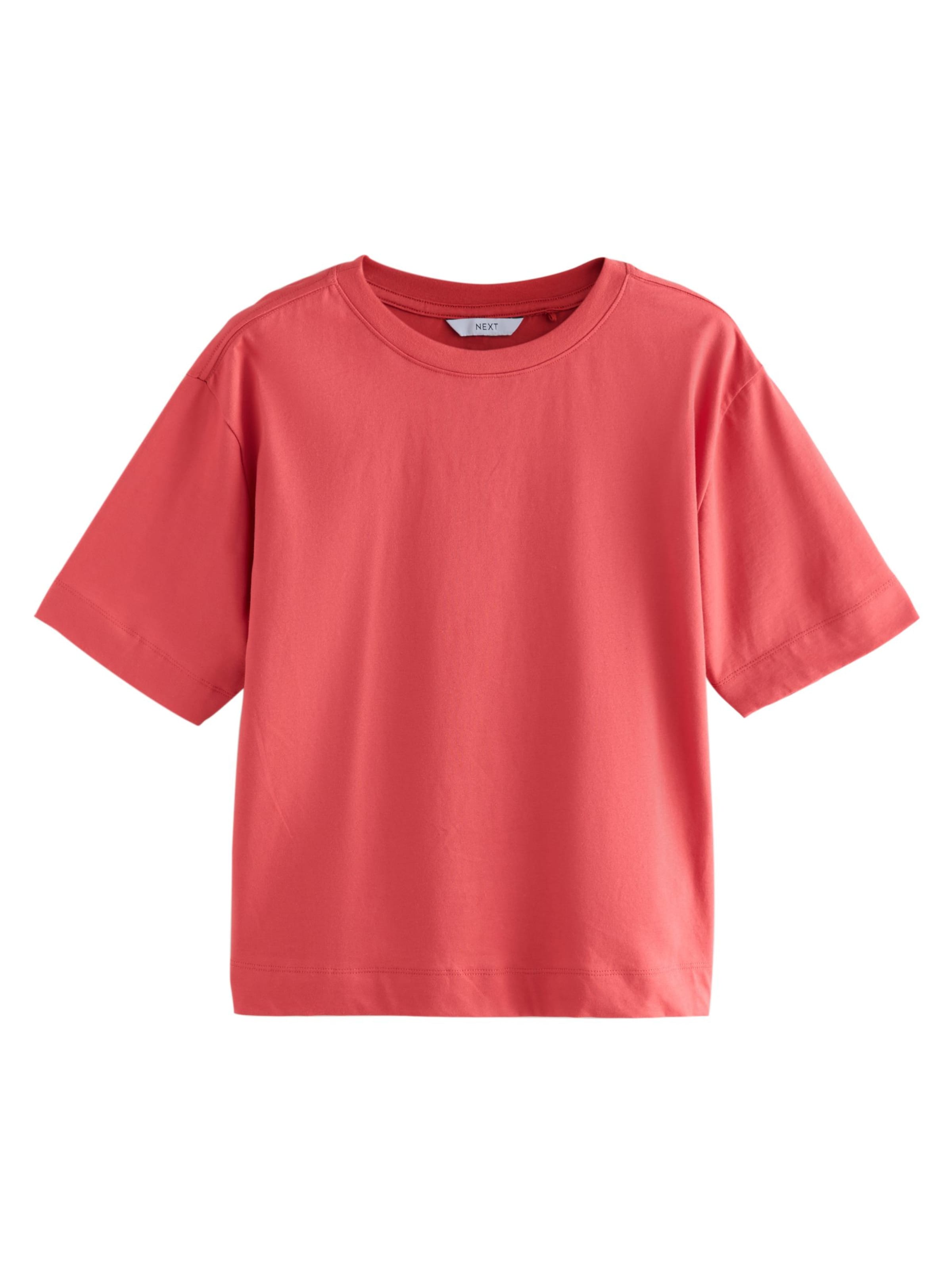 Next T-Shirt in Mischfarben