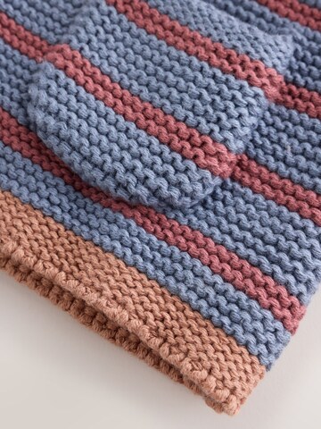 Next Strickjacke in Blau