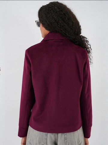 Bigdart Winter jacket in Red