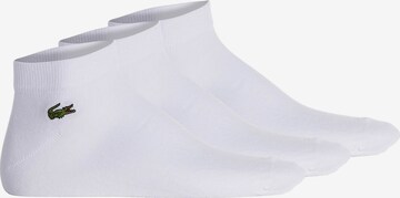 Calzino sportivo di Lacoste Sport in bianco