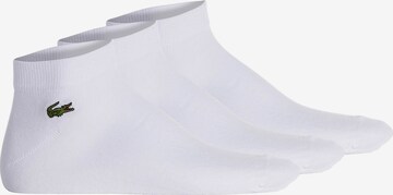 Chaussettes de sport Lacoste Sport en blanc