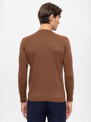 Antioch Pullover in Braun