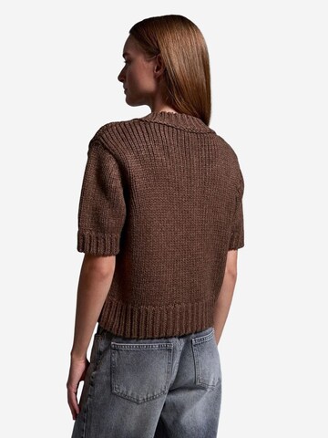 Dilvin Pullover 'Pullover'‌‌‌‌‌‌‌‌‌‌ in Braun