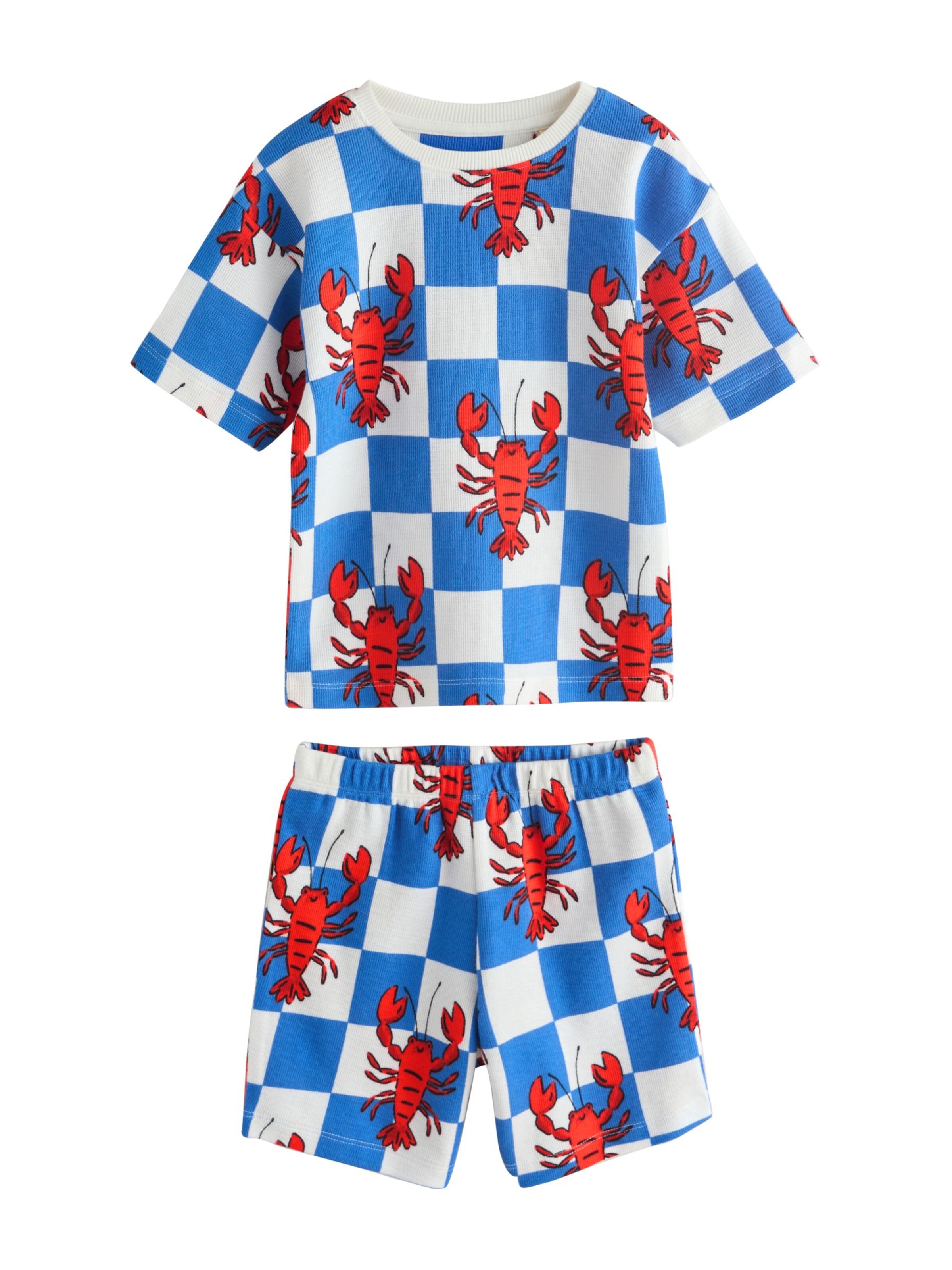 Next Schlafanzug in Blau