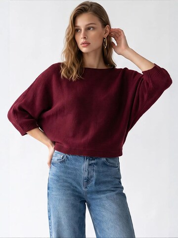 Pulover 'Pullover' de la MixRay pe roșu