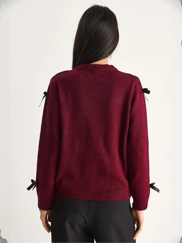 Bianco Lucci Kampsun 'Pullover', värv punane