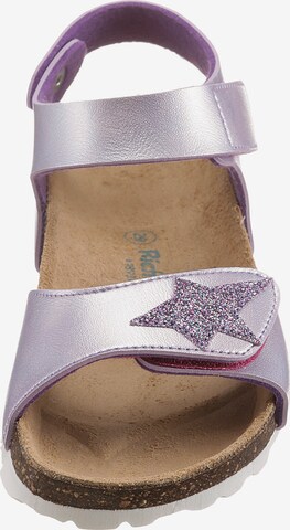 Richter Schuhe Sandals in Purple