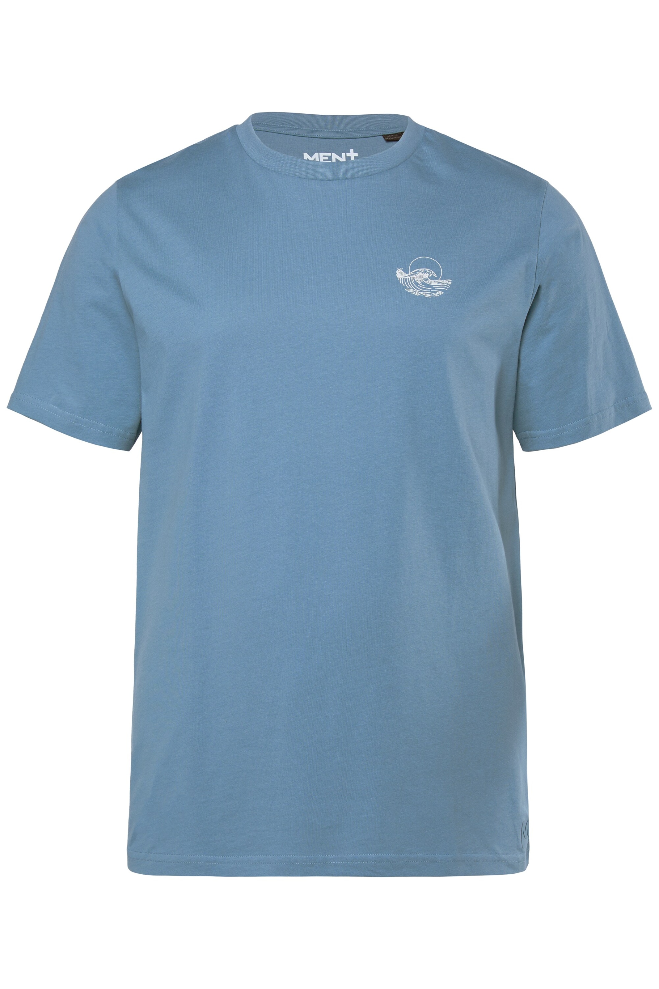 Men Plus Shirt in Blue: front