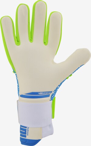 KEEPERsport Athletic Gloves in Blue