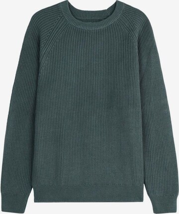 Scalpers Pullover 'New Frederic' in Grün: predná strana