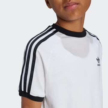 ADIDAS ORIGINALS Shirt 'Adicolor' in Wit