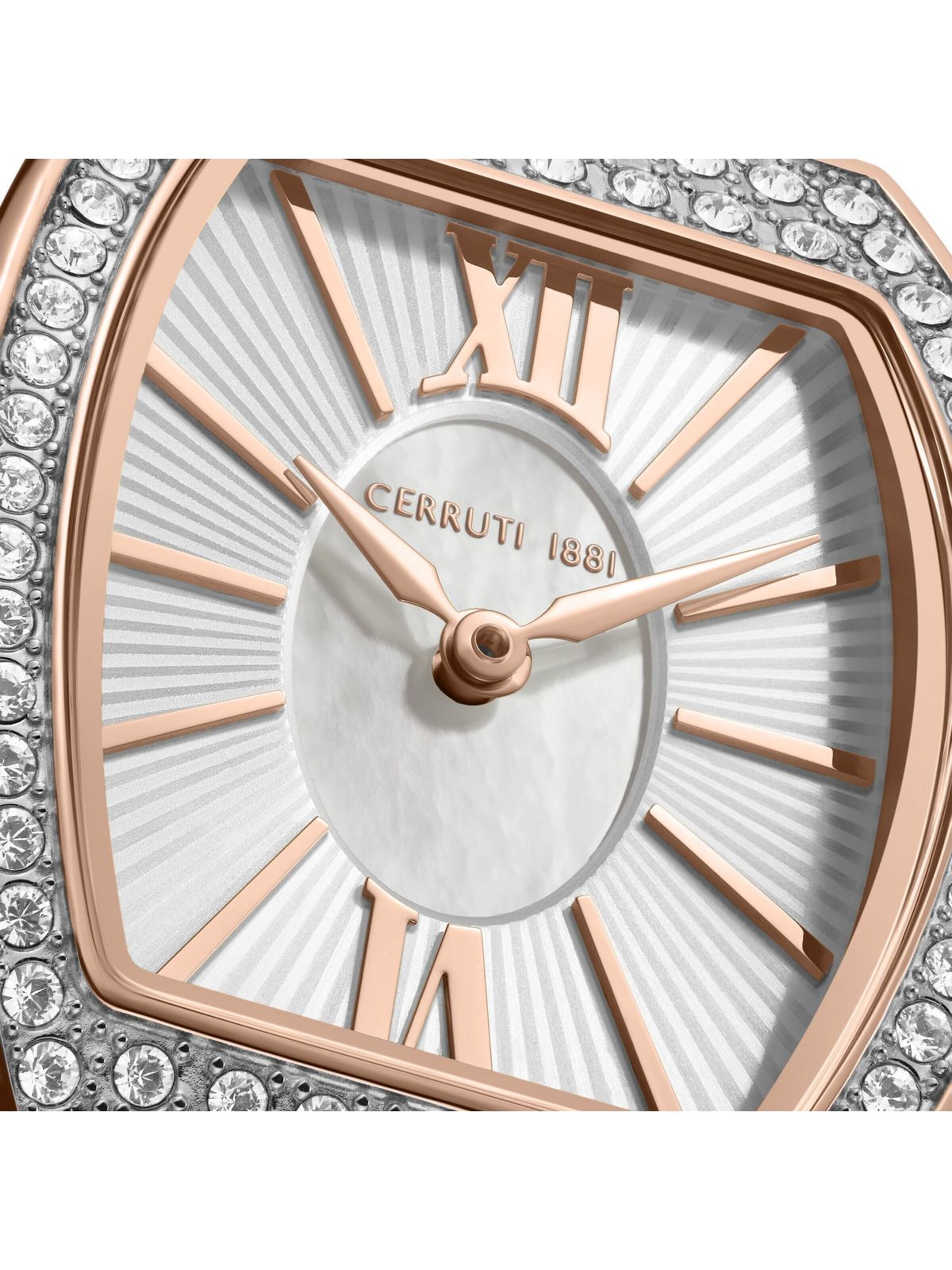 Montre à affichage analogique CERRUTI 1881 en mélange de couleurs