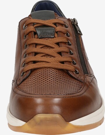 SIOUX Sneaker ' Turibio-710-J ' in Braun