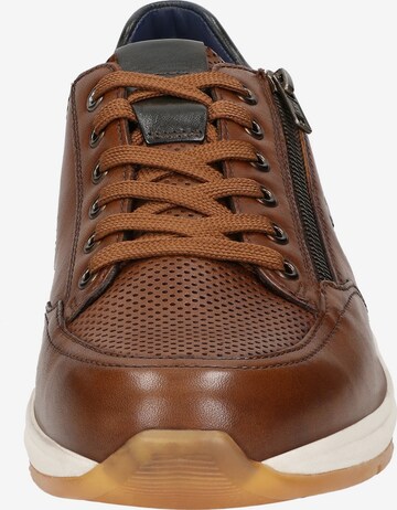 SIOUX Sneakers laag ' Turibio-710-J ' in Bruin
