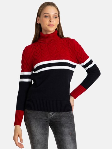 Jacey Quinn Pullover in Mischfarben: predná strana