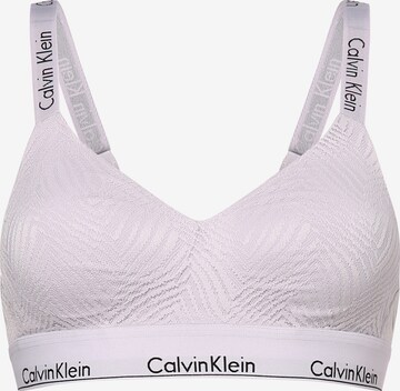 Calvin Klein Underwear Bralette Bra in Purple: front