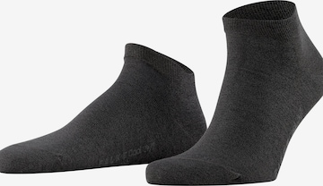 FALKE Socks 'Cool 24/7' in Grey: front