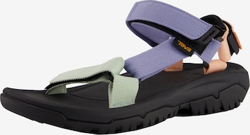 purpurinė TEVA Sportinio tipo sandalai: priekis