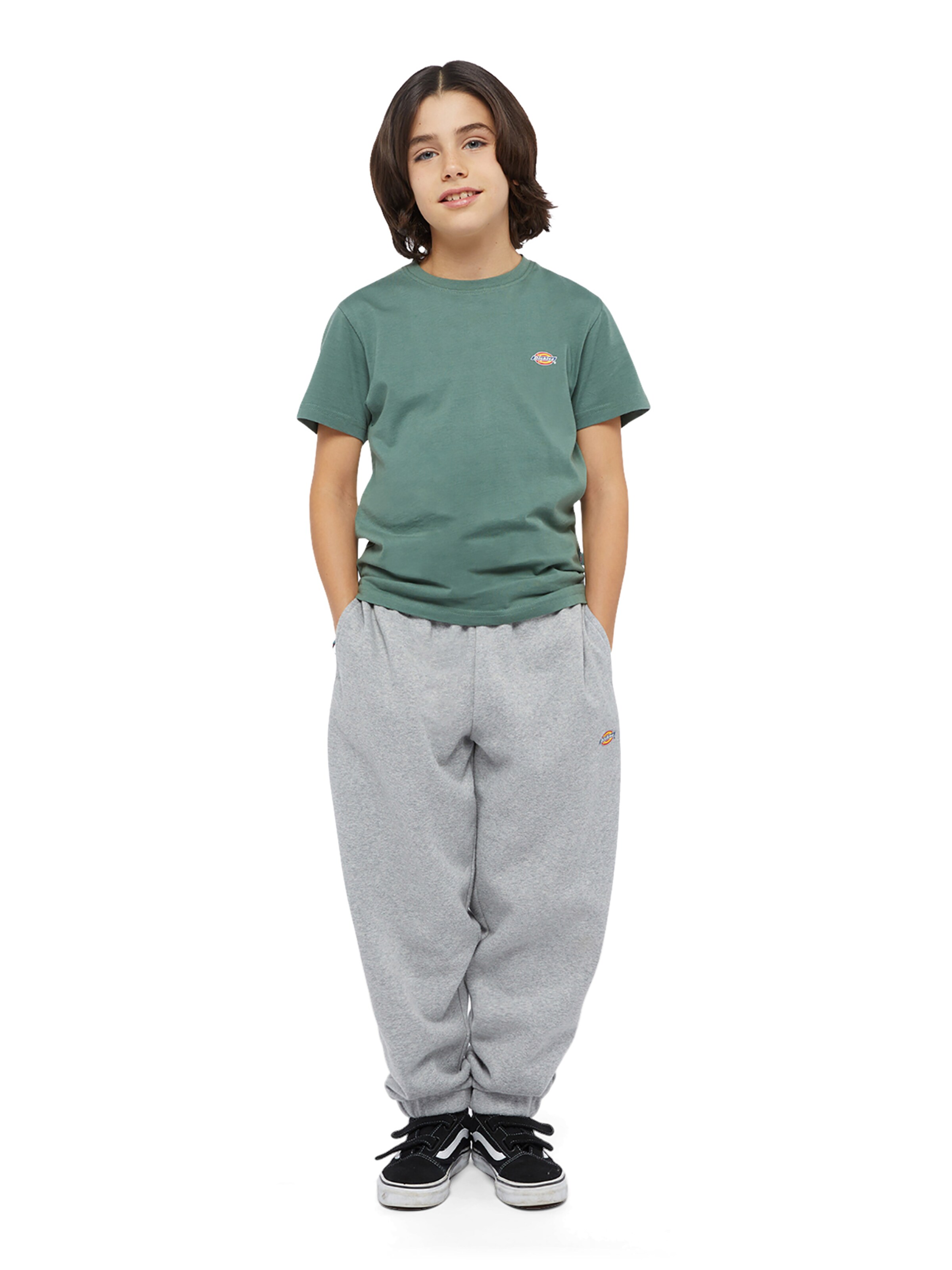 DICKIES Regular Trousers 'Mapleton' in Grey