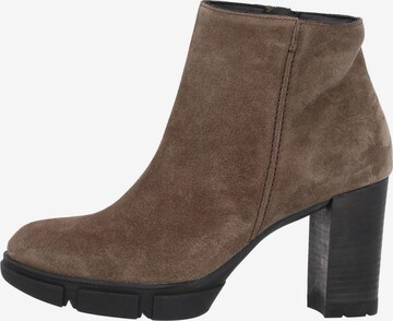 Paul Green Ankle Boots in Brown