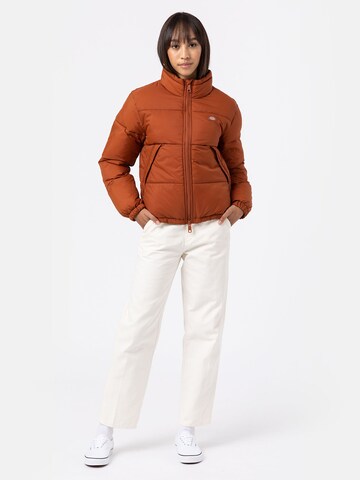 DICKIES Between-season jacket 'ALATNA' in Brown