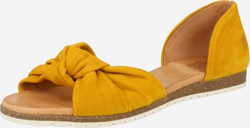 Sandalo di Apple of Eden in giallo: frontale