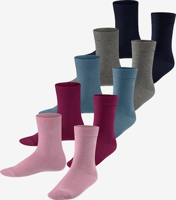 ESPRIT Socken 'Solid Mix 5-Pack' in Mischfarben: Vorderseite