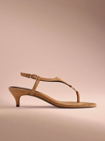 Sandalo di B by Ted Baker in marrone