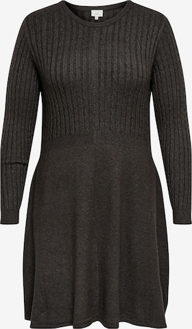 ONLY Carmakoma - Vestido 'CARFIA' en marrón: frente