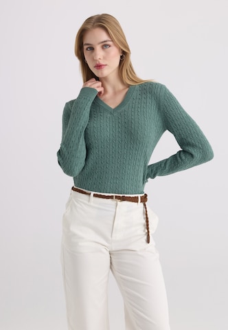 Felix Hardy Sweter w kolorze zielony: przód