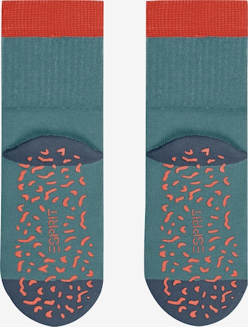 ESPRIT Socken 'Cozy Memphis' in Blau: Vorderseite
