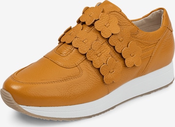 Sneaker bassa di VITAFORM in giallo: frontale