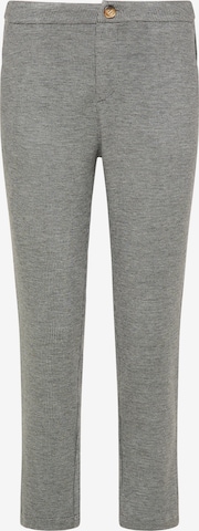 Usha Regular Pants in Grey: front