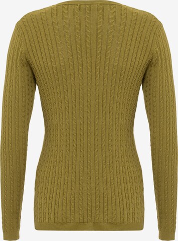 Felix Hardy Pullover in Grün