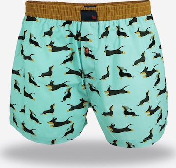 UNABUX Boxer shorts ' Prints ' in Green: front