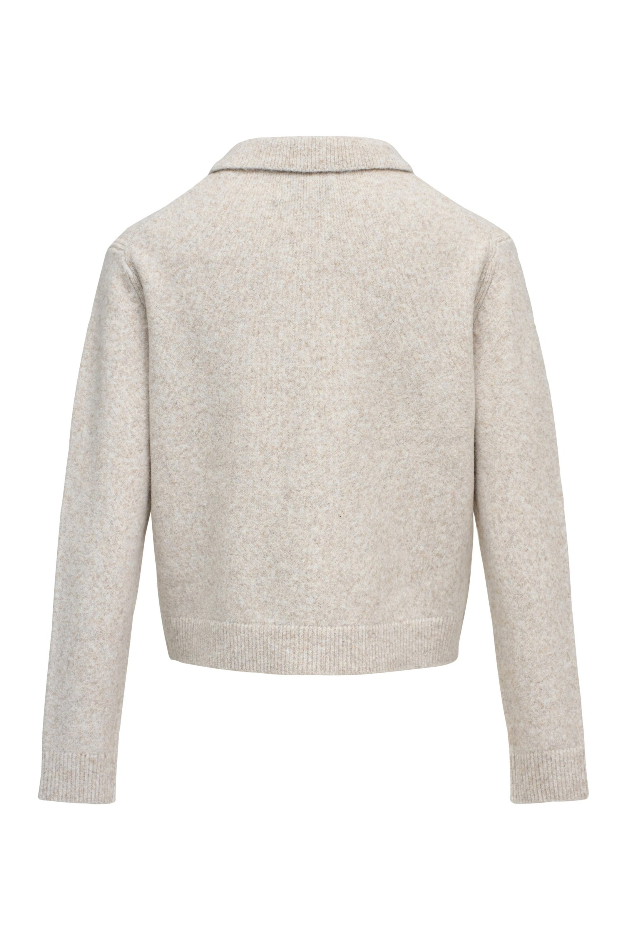 Salsa Jeans Trui in Beige