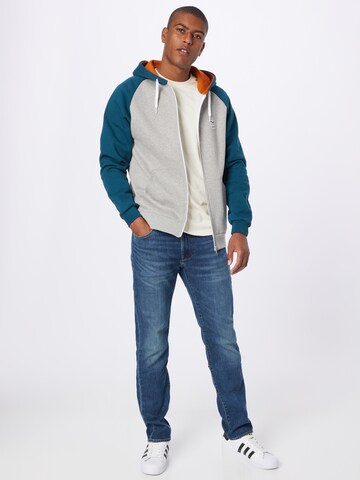 Iriedaily Sweatjacke 'De College 2' in Grau